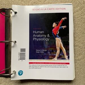 Human Anatomy and Physiology Elaine Marieb and Katja Hoehn Unbound in Binder